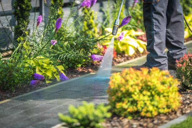 Best Sidewalk and Walkway Pressure Cleaning in St Paul, TX